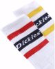 Genola Socks (2-Pack) - Dickies - White
