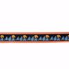 Vista Belt - Santa Cruz - Dusty Orange