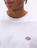 Mapleton T-Shirt - Dickies - White