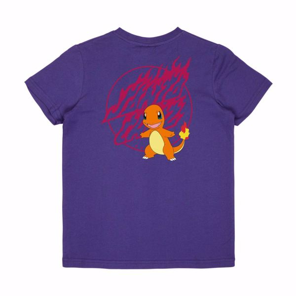 Youth Pokemon Fire Type 1 Tee - Santa Cruz - Purp