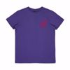 Youth Pokemon Fire Type 1 Tee - Santa Cruz - Purp