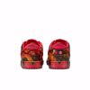 Wizard Of Oz X Nike SB Dunk Low Pro QS - Red/Multi