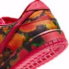 Wizard Of Oz X Nike SB Dunk Low Pro QS - Red/Multi