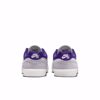 SB Malor - Nike SB - Platinum/Purple/Grey