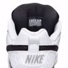 Zoom Air Paul Rodriguez Low - Nike SB - White/Blk