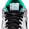CSEF Dunk Low Pro QS - Nike SB - Wht/Blk/Ir/Gry